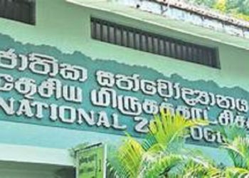 දෙහිවල සත්තුවත්තේ මියගිය කෙල්ල