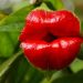 Hooker’s Lips වඳවී යාමේ අවදානමක්