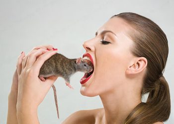 තමන්ගේ ඇඟිල්ල හපපු තරහට මීයාගේ ඔළුව කාපු තරුණියක්